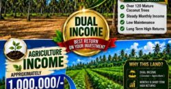 2 Acre Dual-Income Coconut & Agriculture Land for Sale