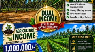 2 Acre Dual-Income Coconut & Agriculture Land for Sale