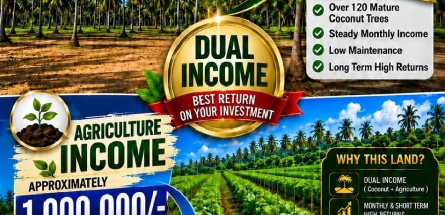 2 Acre Dual-Income Coconut & Agriculture Land for Sale