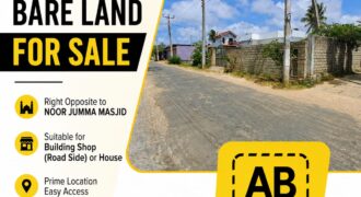 10 Perch Bare Land for Sale in Putttlam