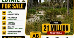 3 Acre Coconut Estate For Sale