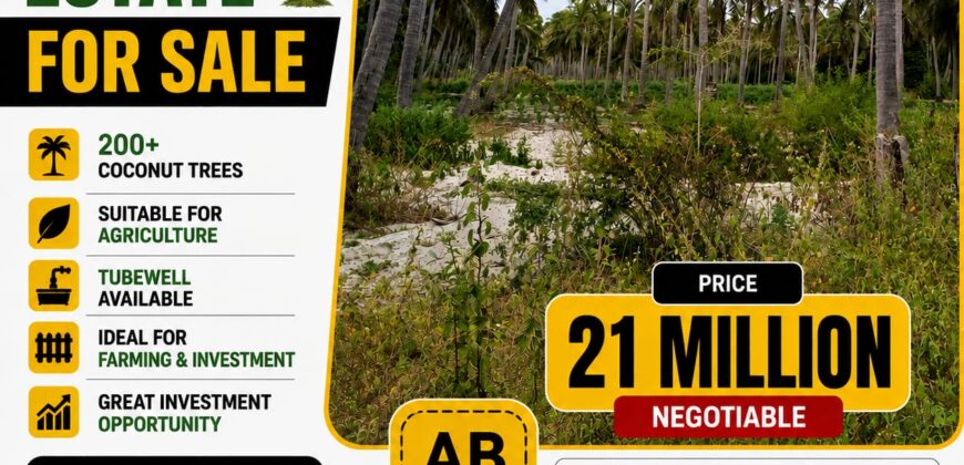 3 Acre Coconut Estate For Sale
